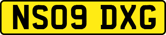 NS09DXG