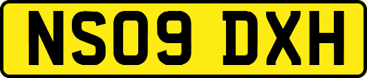 NS09DXH