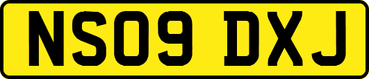 NS09DXJ