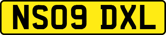 NS09DXL