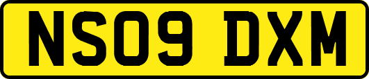 NS09DXM