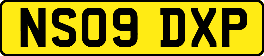 NS09DXP