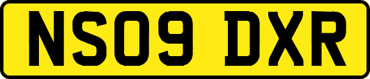 NS09DXR