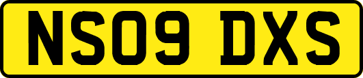 NS09DXS