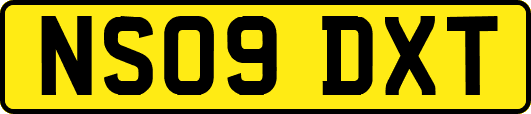NS09DXT