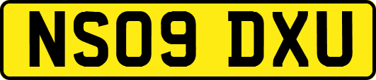 NS09DXU