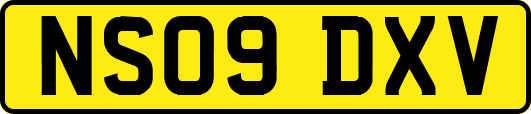 NS09DXV