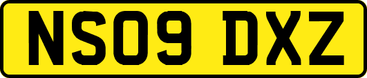 NS09DXZ