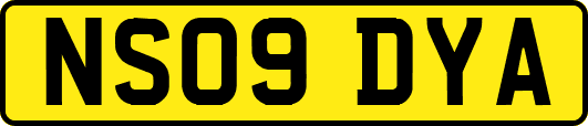 NS09DYA