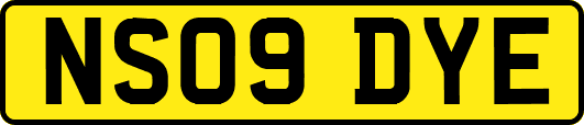 NS09DYE