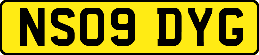 NS09DYG