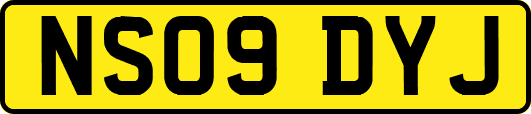 NS09DYJ