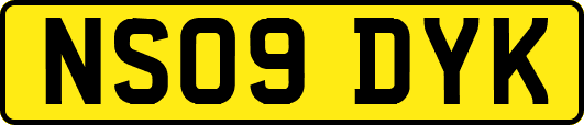 NS09DYK
