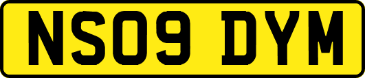 NS09DYM