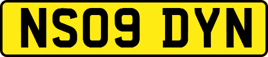 NS09DYN