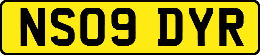 NS09DYR