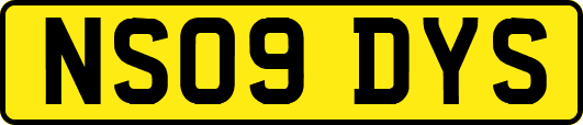 NS09DYS