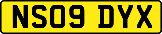 NS09DYX