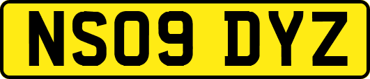 NS09DYZ