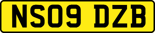 NS09DZB