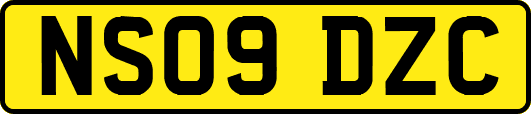 NS09DZC