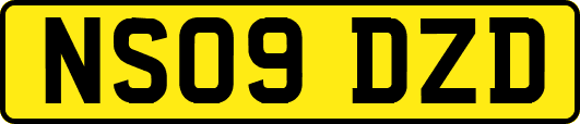 NS09DZD