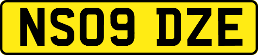 NS09DZE