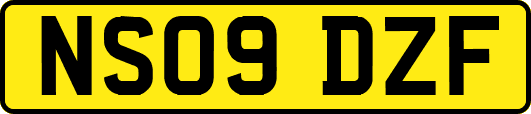 NS09DZF