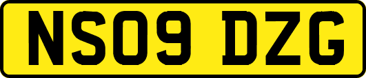 NS09DZG