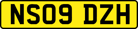 NS09DZH