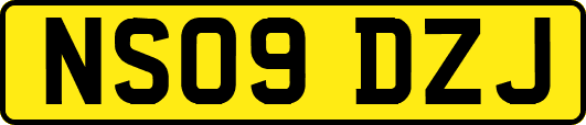 NS09DZJ