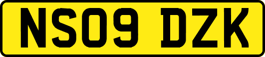 NS09DZK