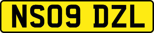 NS09DZL