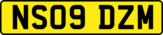 NS09DZM