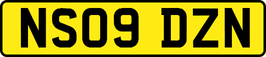 NS09DZN