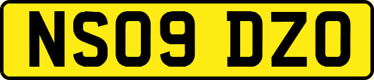 NS09DZO