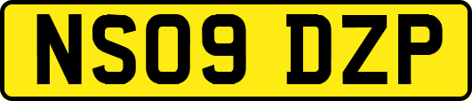 NS09DZP