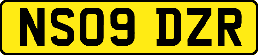 NS09DZR