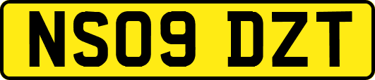 NS09DZT
