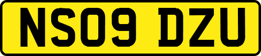 NS09DZU