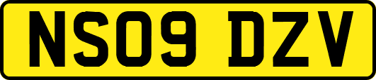 NS09DZV