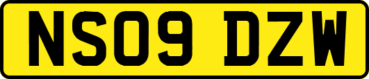 NS09DZW