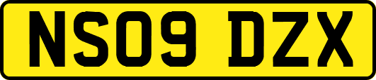 NS09DZX