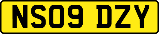 NS09DZY