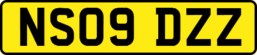 NS09DZZ