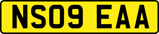 NS09EAA