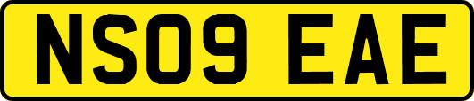 NS09EAE