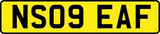 NS09EAF