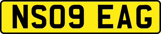 NS09EAG