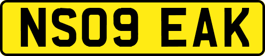 NS09EAK